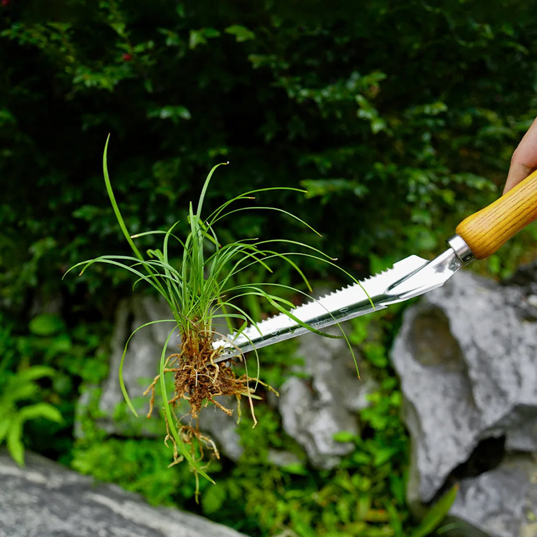 5-in-1 Stainless Steel Weed Puller Tool with Beech Handle - Orthorun