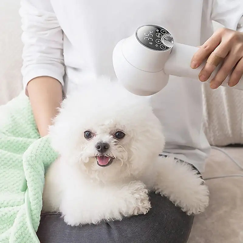 2 in 1 Smart Dog Hair Dryer - Orthorun