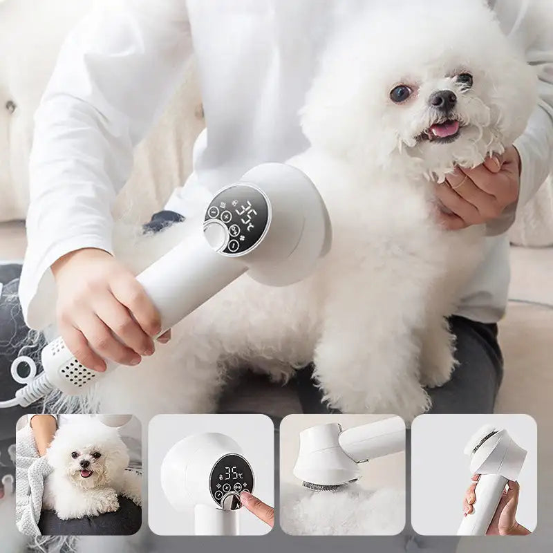 2 in 1 Smart Dog Hair Dryer - Orthorun