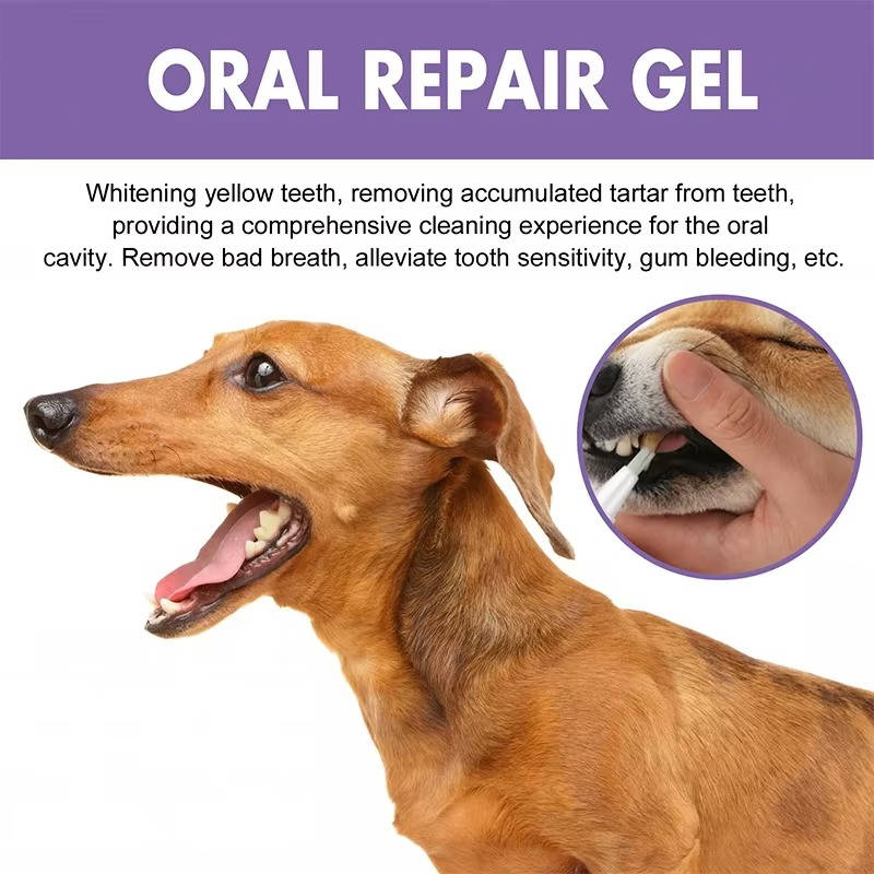 3 Set Dog Oral Repair Gel - Orthorun