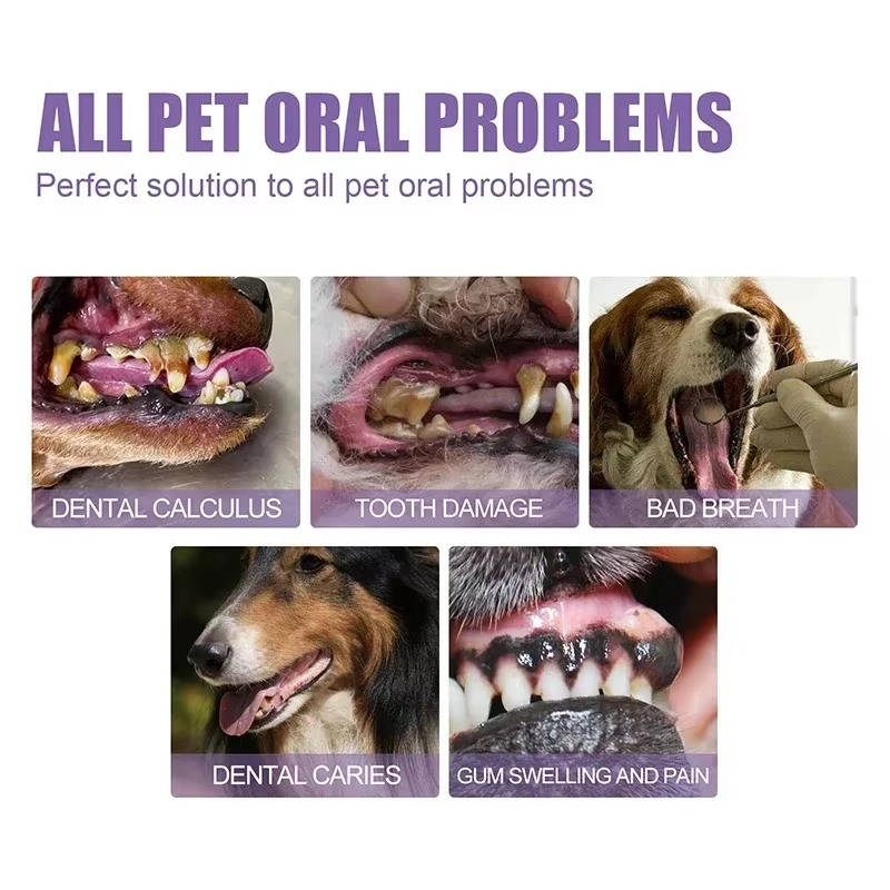 3 Set Dog Oral Repair Gel - Orthorun