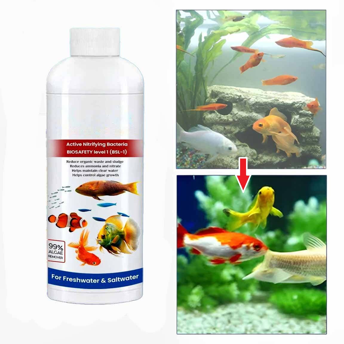 3 Pack Fish Tank Cleaner Liquid - Orthorun