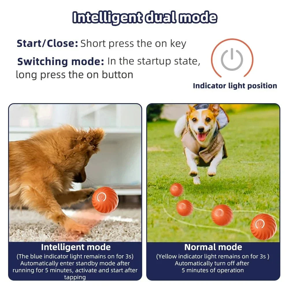 Active Rolling Ball Anti-Anxiety Automatic Moving Ball - Orthorun