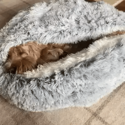 Orthorun | Cozy Cave Pet Bed – Calming & Comfortable Dog Bed for Deep Relaxation