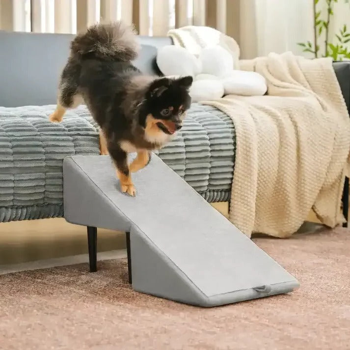 2-in-1 Convertible Dog Ramp and Step Stool - Orthorun
