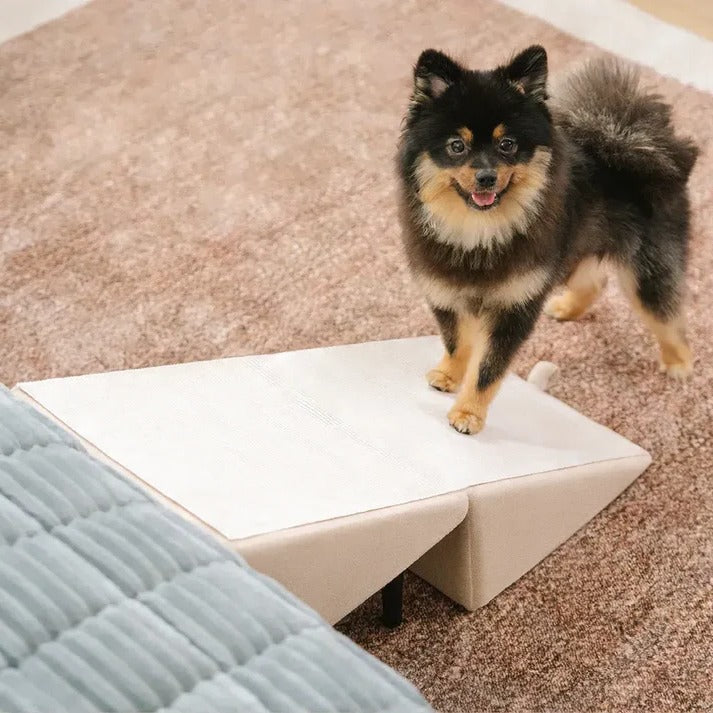 2-in-1 Convertible Dog Ramp and Step Stool - Orthorun