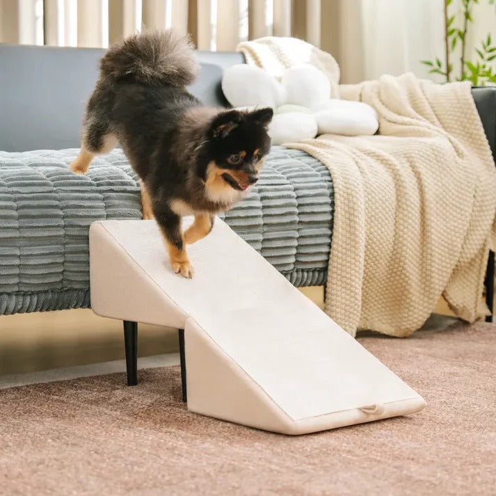 2-in-1 Convertible Dog Ramp and Step Stool - Orthorun