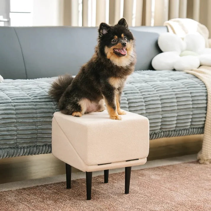 2-in-1 Convertible Dog Ramp and Step Stool - Orthorun