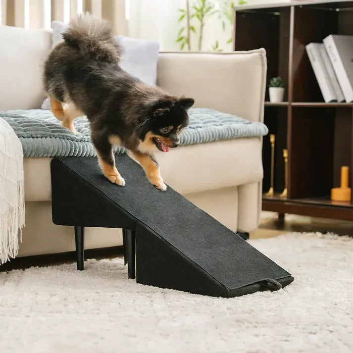 2-in-1 Convertible Dog Ramp and Step Stool - Orthorun