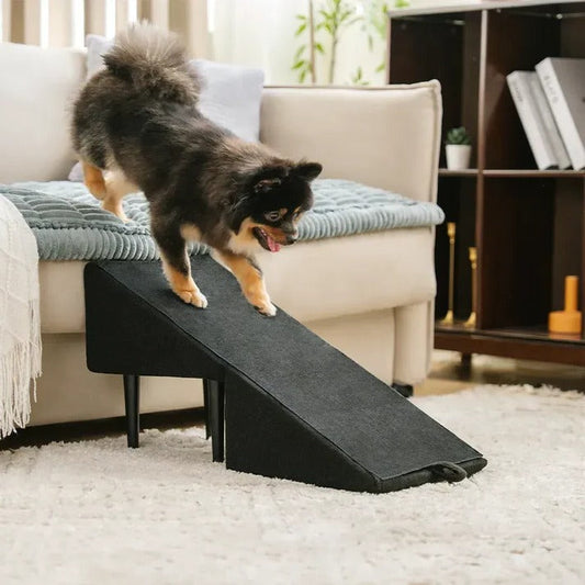 2-in-1 Convertible Dog Ramp and Step Stool - Orthorun