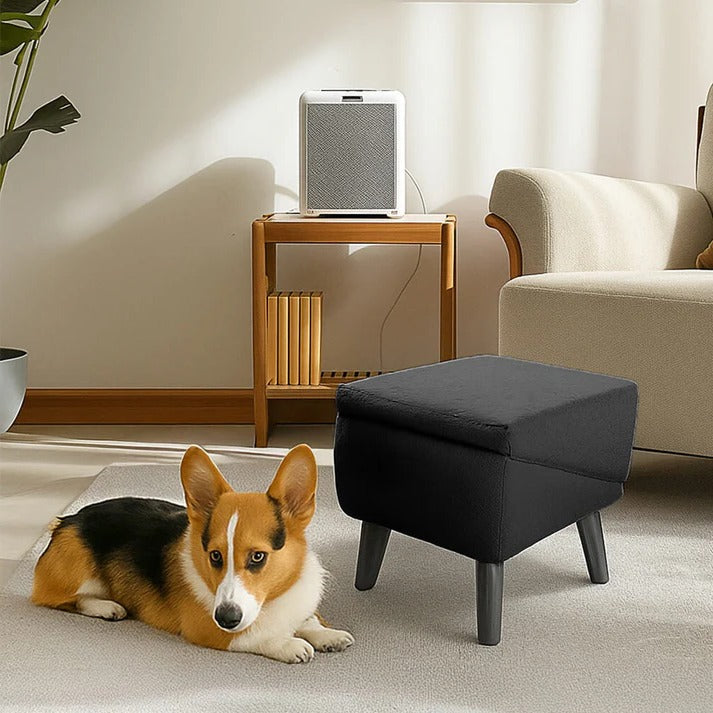 2-in-1 Convertible Dog Ramp and Step Stool - Orthorun