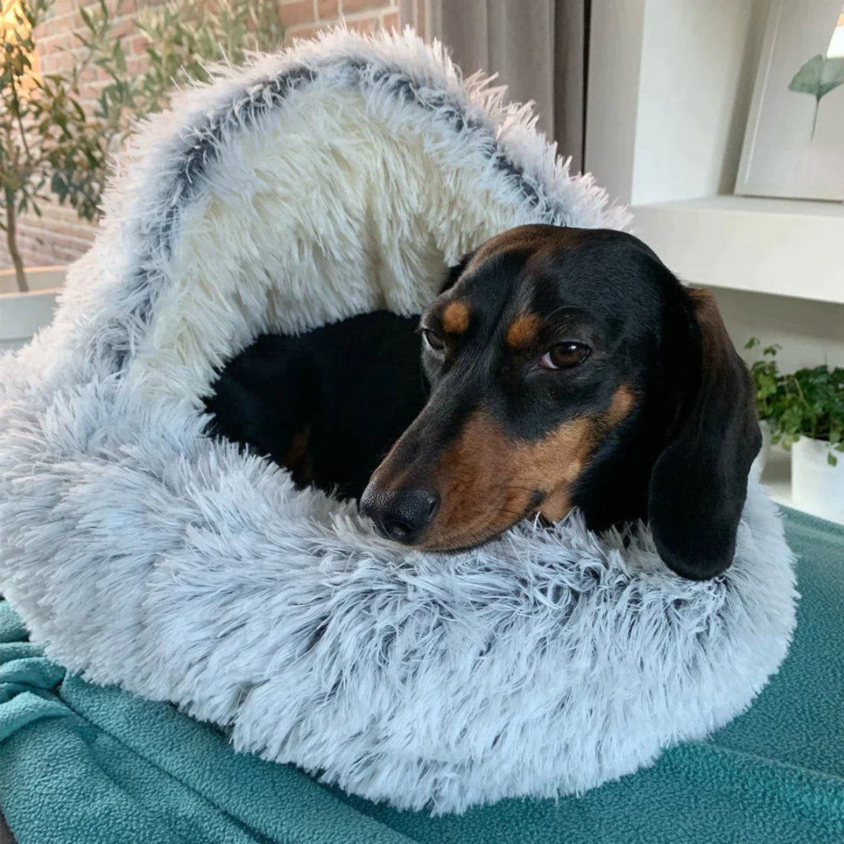 Orthorun | Cozy Cave Pet Bed – Calming & Comfortable Dog Bed for Deep Relaxation