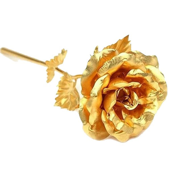 24K Gold Dipped Real Rose with Gift Box - Orthorun