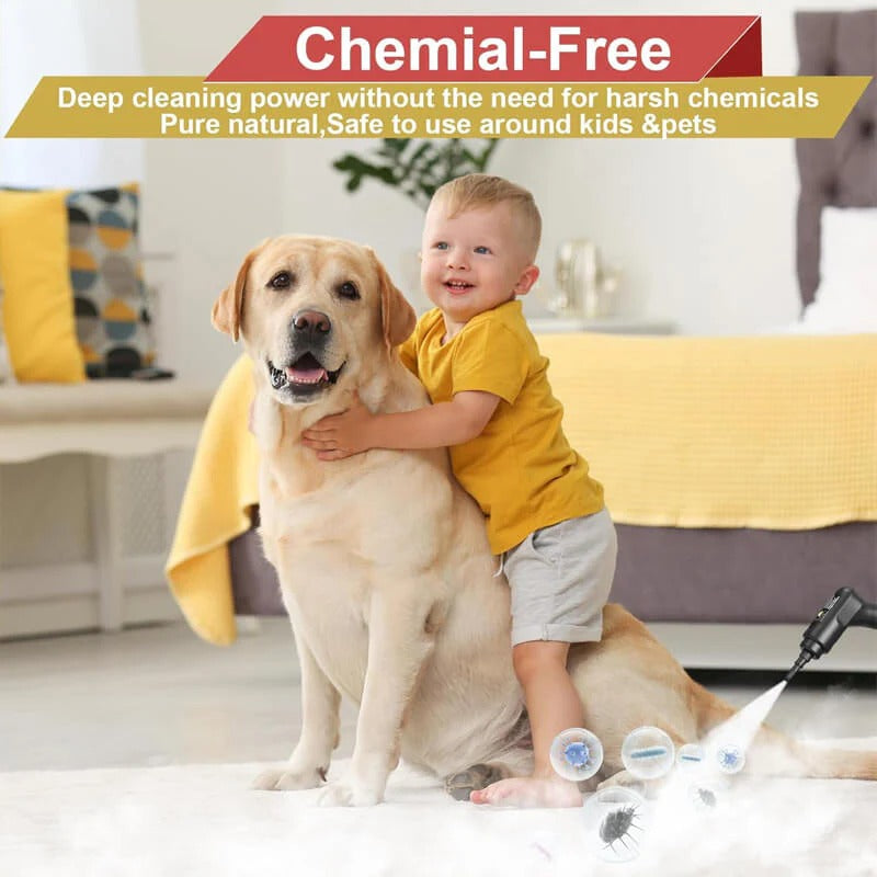 2500W High Pressure Steam Cleaner with Gloves - Orthorun
