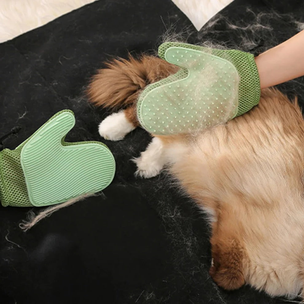 2in1 cat glove for grooming - Orthorun