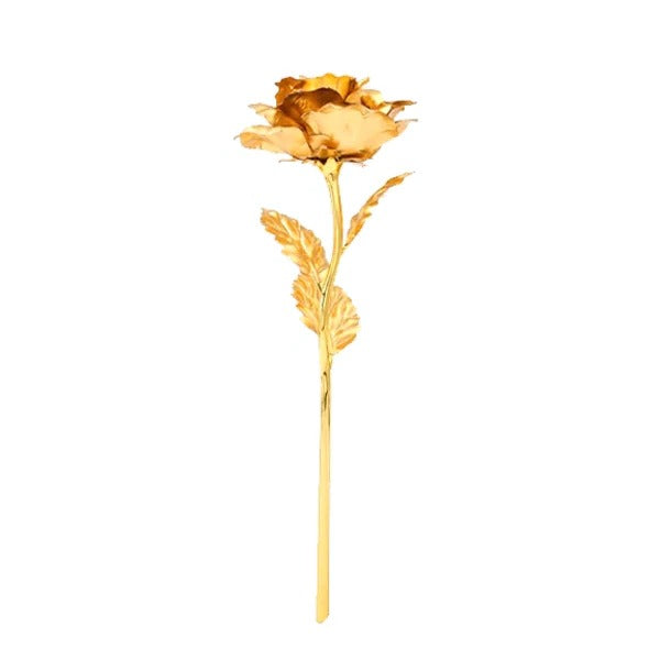 24K Gold Dipped Real Rose with Gift Box - Orthorun