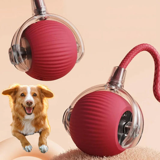 Active Rolling Ball with Tail for Dogs - Orthorun