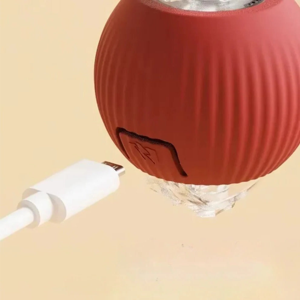 Active Rolling Ball with Tail for Dogs - Orthorun
