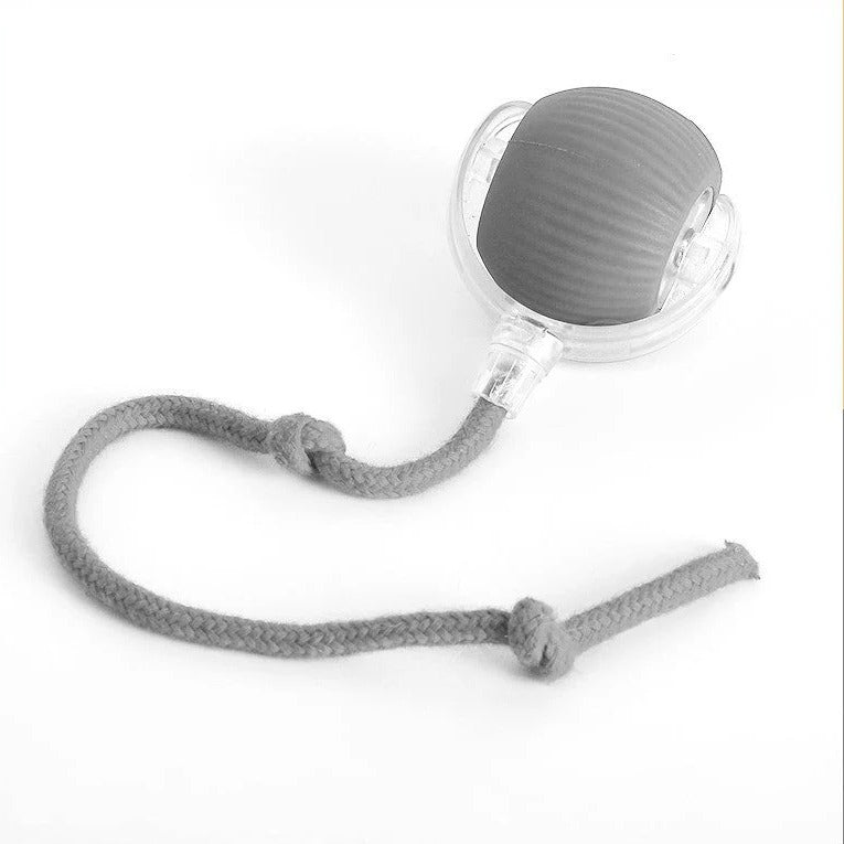 Active Rolling Ball with Tail for Dogs - Orthorun