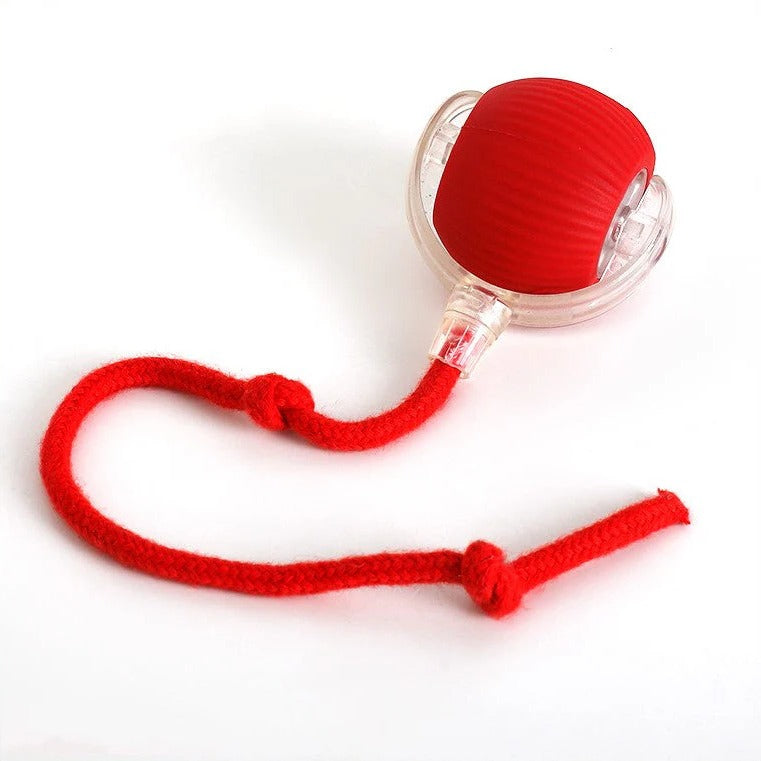 Active Rolling Ball with Tail for Dogs - Orthorun