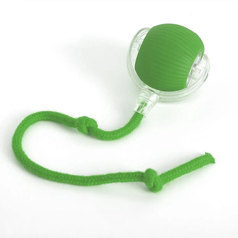 Active Rolling Ball with Tail for Dogs - Orthorun