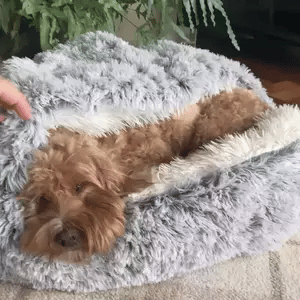 Orthorun | Cozy Cave Pet Bed – Calming & Comfortable Dog Bed for Deep Relaxation