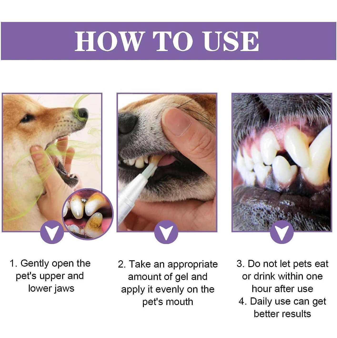 3 Set Dog Oral Repair Gel - Orthorun