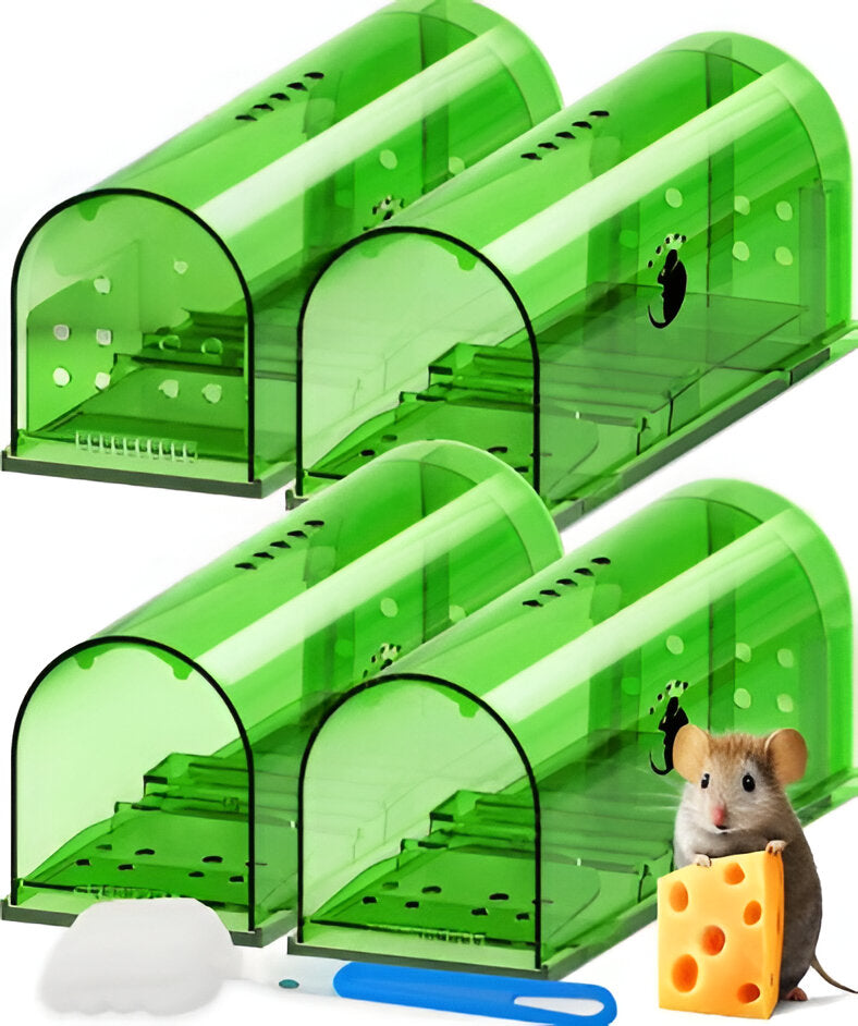 4-Pack Mouse Trap - Orthorun