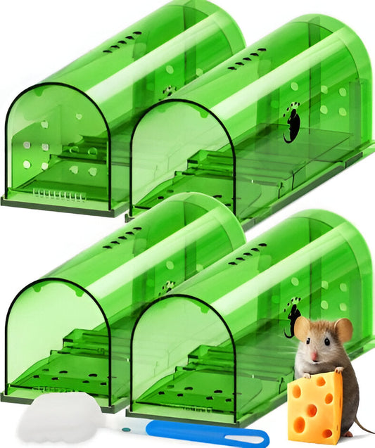 4-Pack Mouse Trap - Orthorun