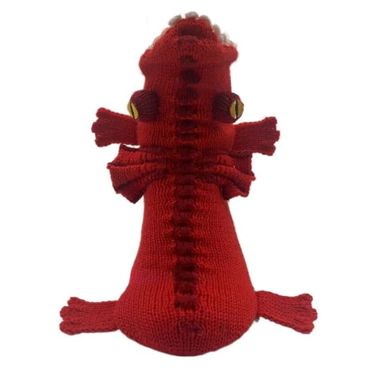 3D Knitted Crocodile Socks - Orthorun