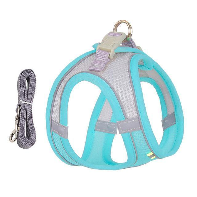 Adjustable Harness and Leash Set for Small Dogs and Cats - Orthorun
