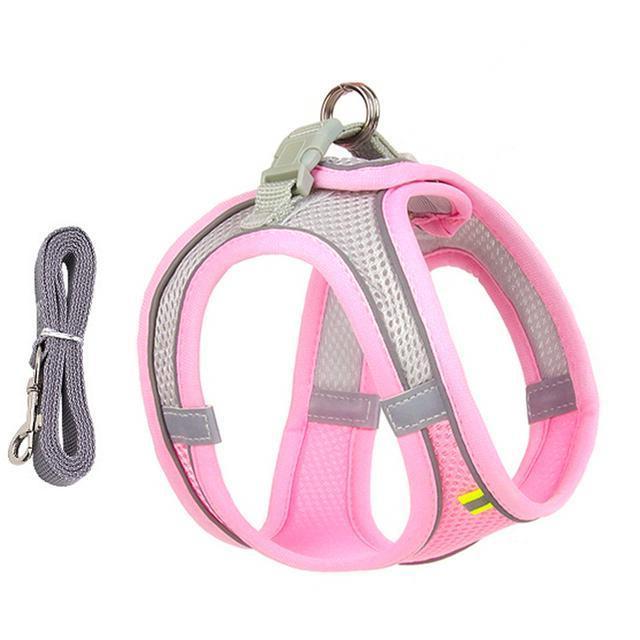 Adjustable Harness and Leash Set for Small Dogs and Cats - Orthorun
