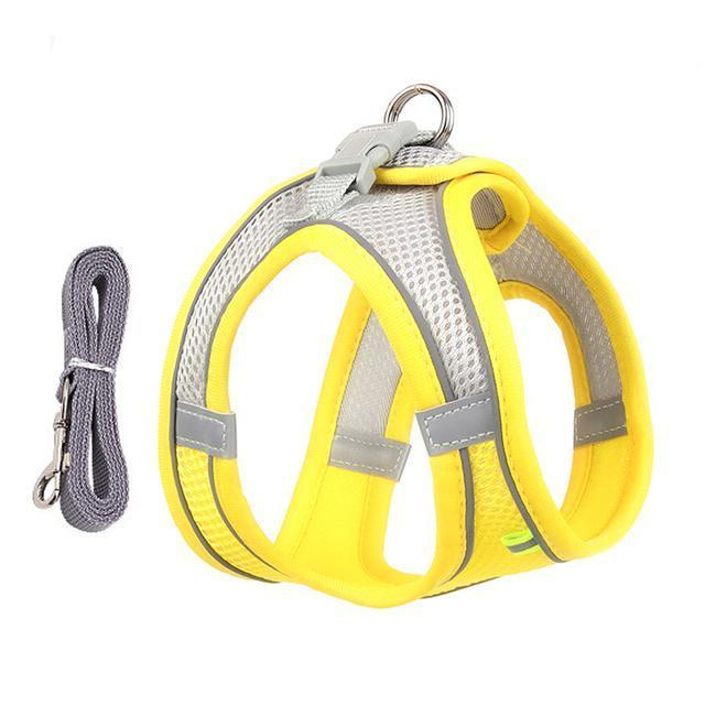 Adjustable Harness and Leash Set for Small Dogs and Cats - Orthorun