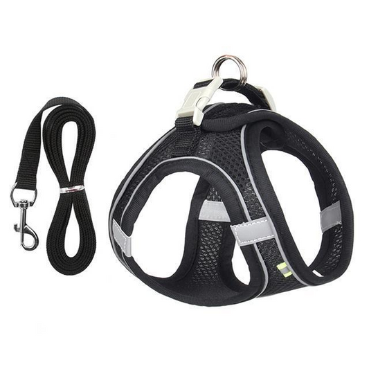 Adjustable Harness and Leash Set for Small Dogs and Cats - Orthorun