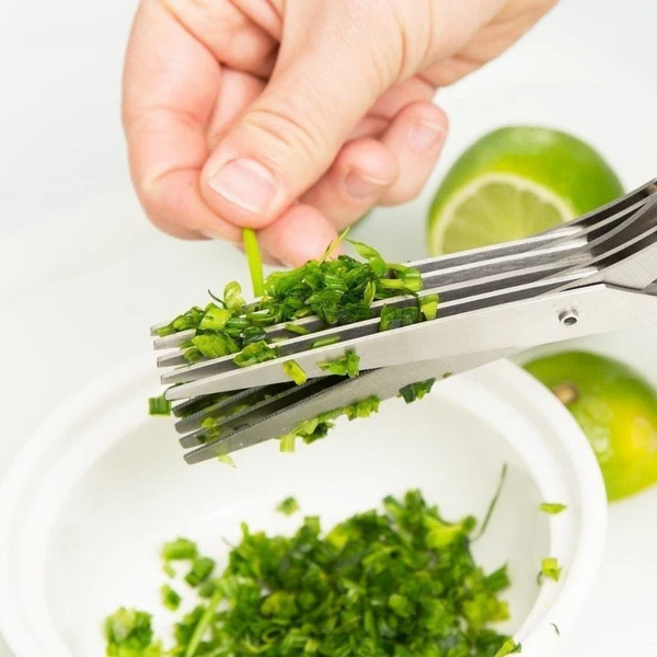 5 Blade Kitchen Salad Scissors - Orthorun