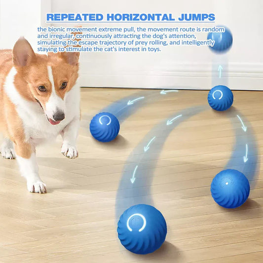 Active Rolling Ball Anti-Anxiety Automatic Moving Ball - Orthorun
