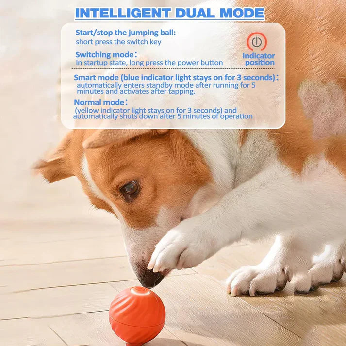 Active Rolling Ball Anti-Anxiety Automatic Moving Ball - Orthorun