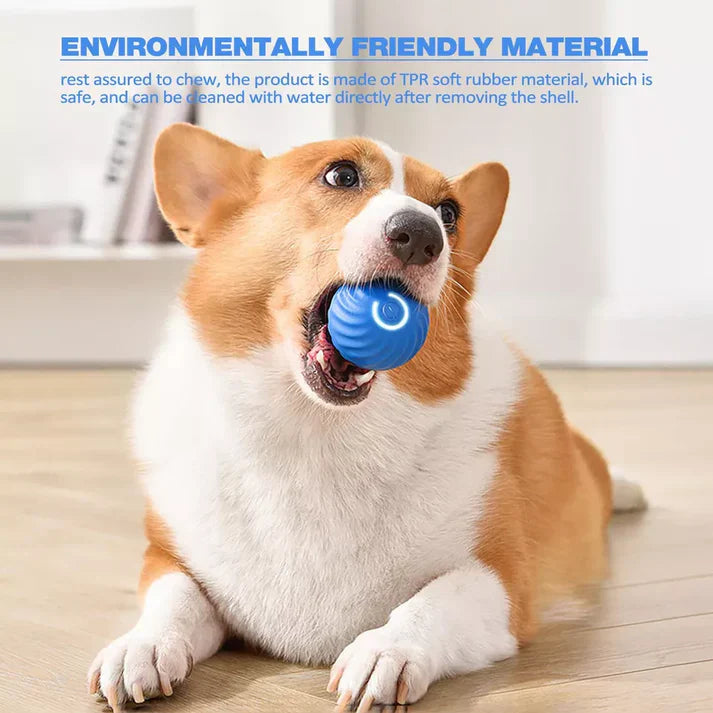 Active Rolling Ball Anti-Anxiety Automatic Moving Ball - Orthorun