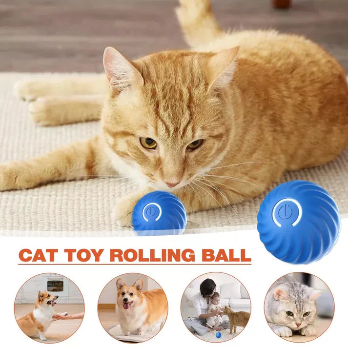 Active Rolling Ball Anti-Anxiety Automatic Moving Ball - Orthorun