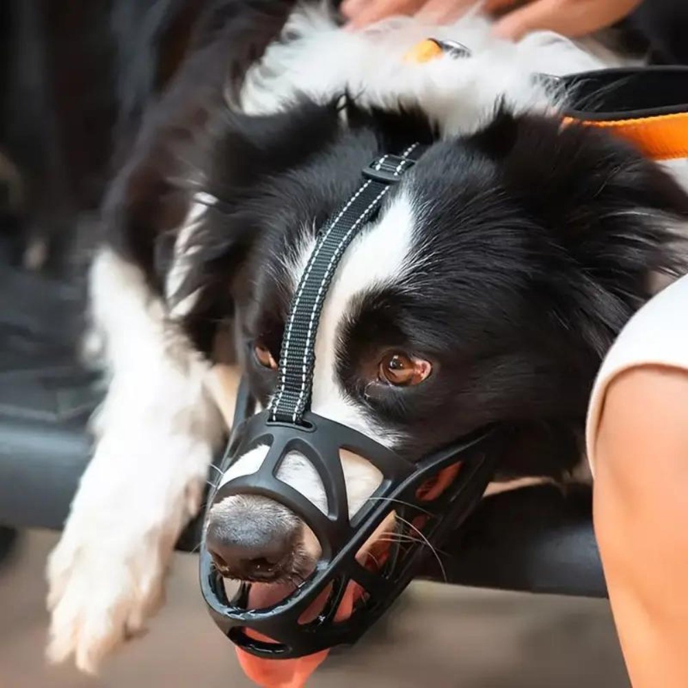 Orthorun | SafeBark Dog Muzzle