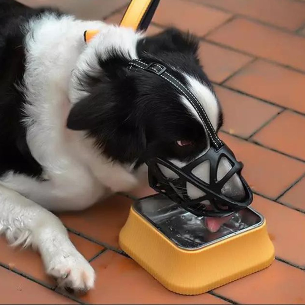 Orthorun | SafeBark Dog Muzzle