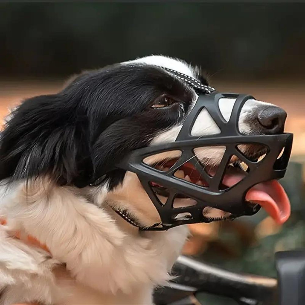 Orthorun | SafeBark Dog Muzzle