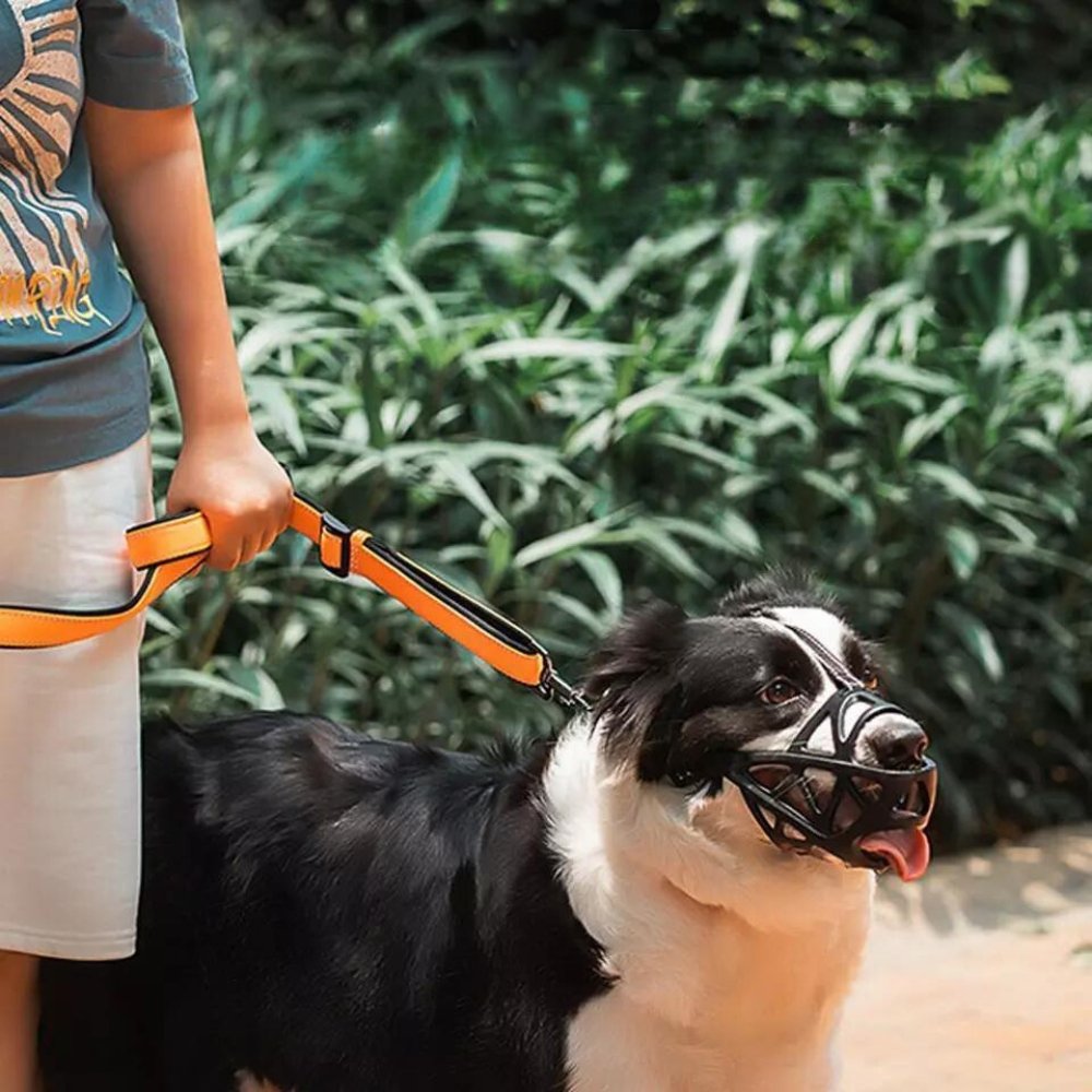 Orthorun | SafeBark Dog Muzzle