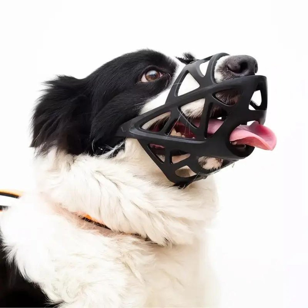 Orthorun | SafeBark Dog Muzzle