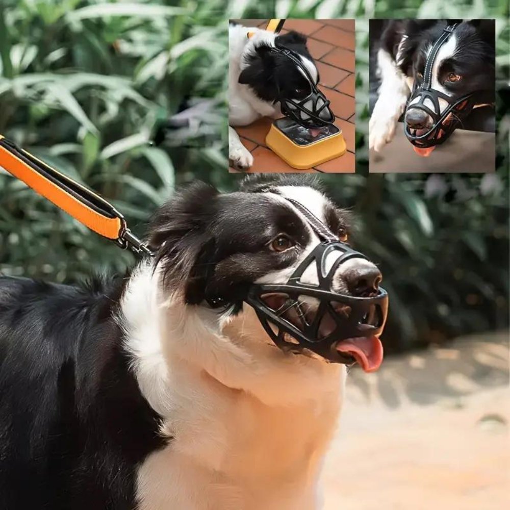 Orthorun | SafeBark Dog Muzzle