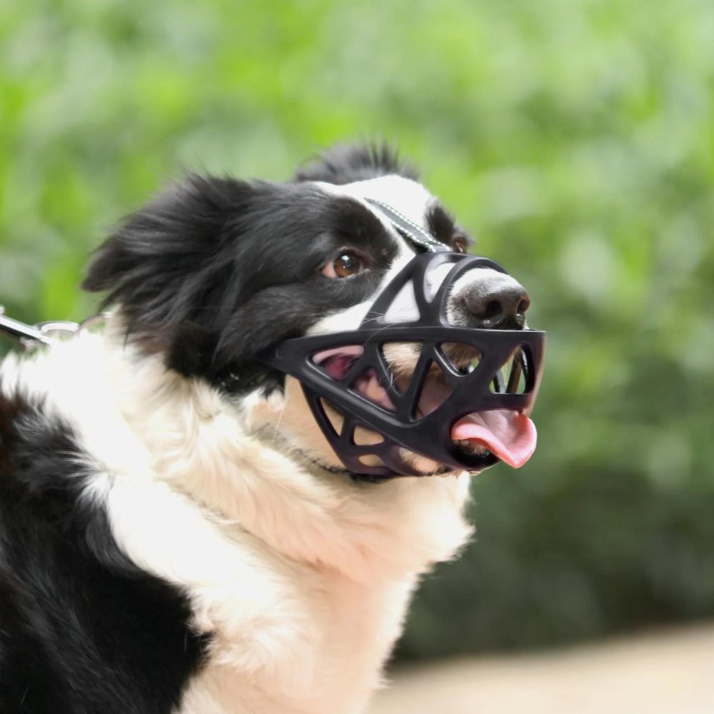Orthorun | SafeBark Dog Muzzle