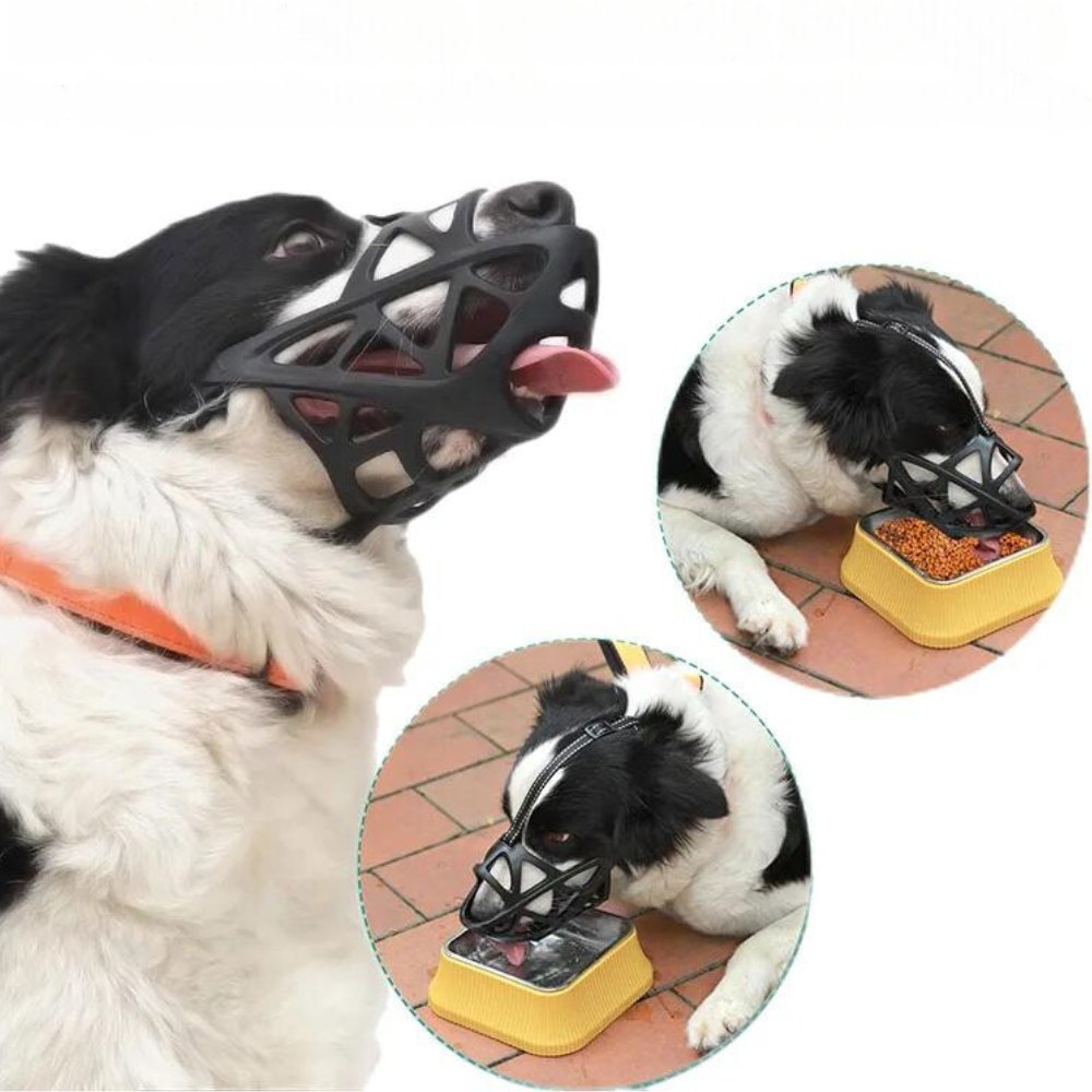 Orthorun | SafeBark Dog Muzzle