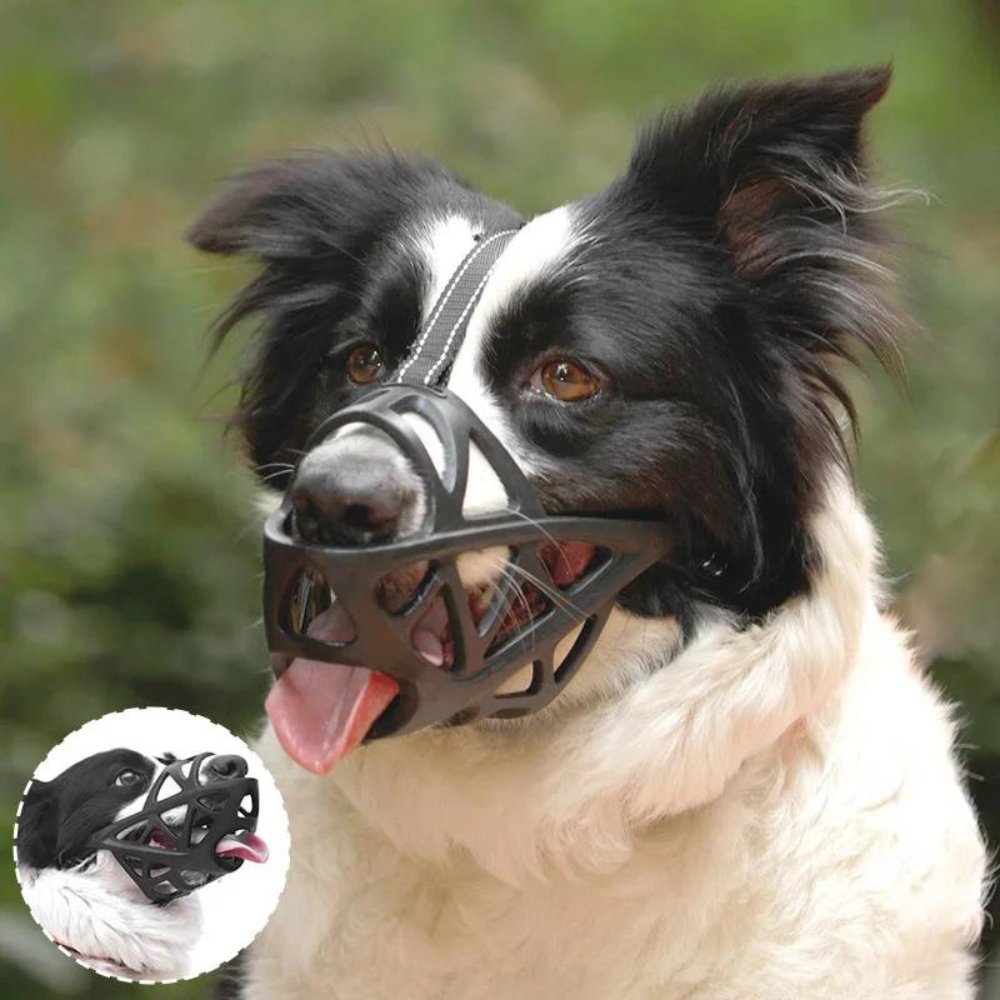 Orthorun | SafeBark Dog Muzzle